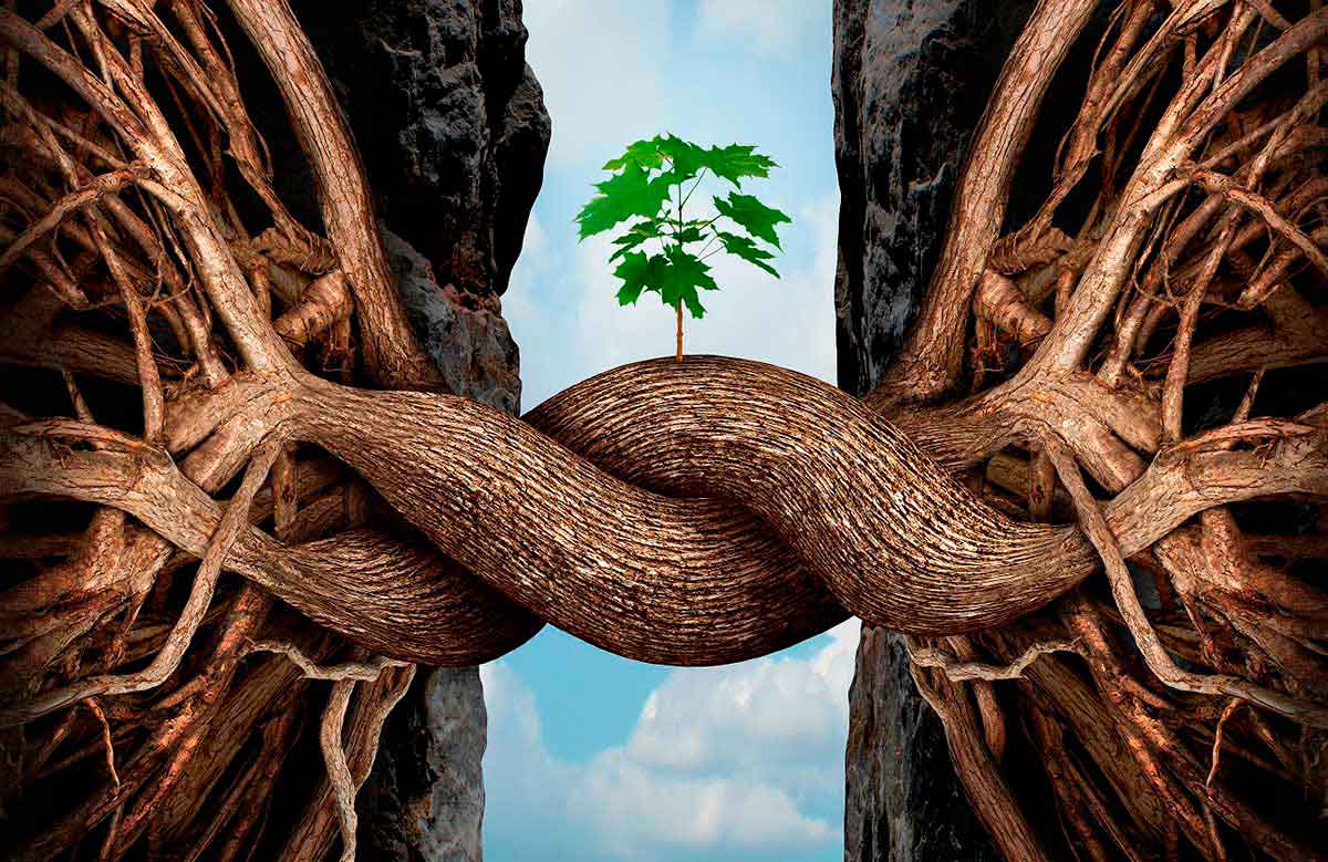 Resiliencia, reencuadre y buen humor