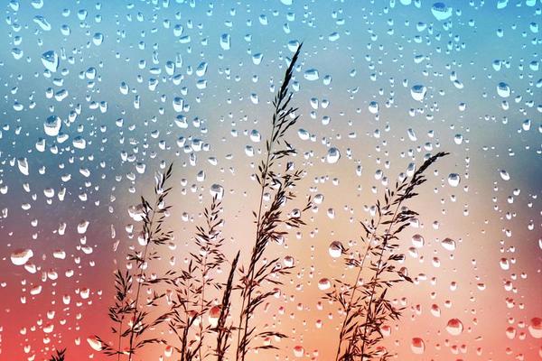 Días de lluvia, para que haya flores